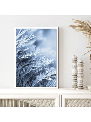 Buz Mavisi Bitkisi 1 Çerçeve ve Poster - B1243