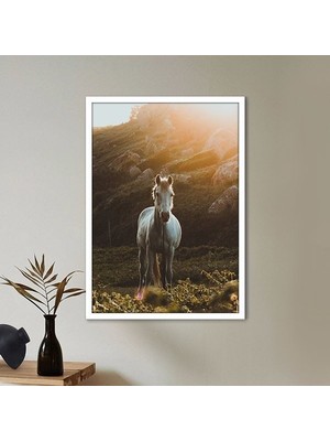 Beyaz At 2 Çerçeve ve Poster - H1016
