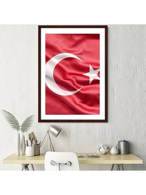 Bayrak 1 Çerçeve ve Poster - ATA1009