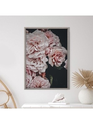 Yavru Ağzı Şakayık 1 Çerçeve ve Poster - B1194