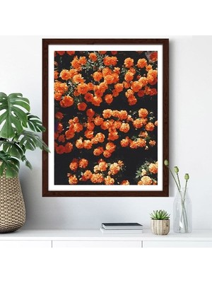 Turuncu Çiçekler 1 Çerçeve ve Poster - B1238