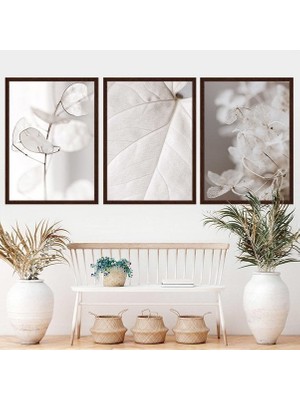 Bej Bitkiler 1 Üçlü Çerçeve ve Poster Seti - B1051