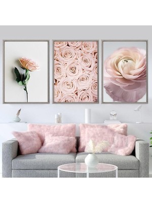 Pembe Güller Üçlü Çerçeve ve Poster Seti - B1031