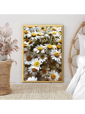 Papatyalar 3 Çerçeve ve Poster - B1149