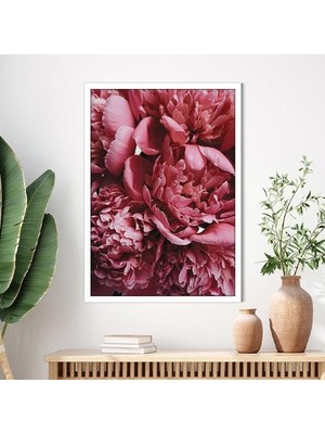 Pembe Şakayık 2 Çerçeve ve Poster - B1176