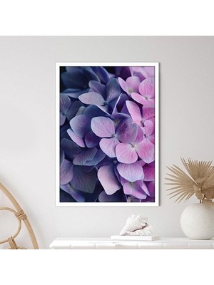 Mor - Pembe Ortanca 1 Çerçeve ve Poster - B1136