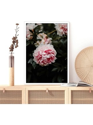 Pembe Şakayık 3 Çerçeve ve Poster - B1177