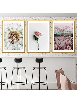 Karahindiba ve Çiçekler Üçlü Çerçeve ve Poster Seti - B1011