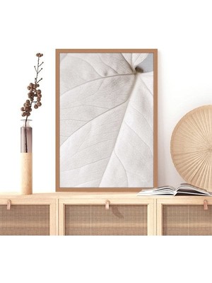 Beyaz Yaprak 1 Çerçeve ve Poster - B1065