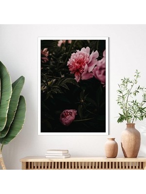 Pembe Şakayık 1 Çerçeve ve Poster - B1175