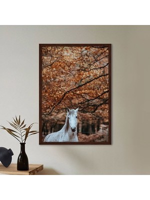 Beyaz At 1 Çerçeve ve Poster - H1017