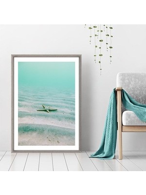 Deniz Yıldızı 1 Çerçeve ve Poster - DO1036