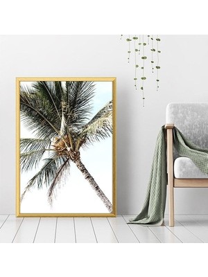 Palmiyeler 4 Çerçeve ve Poster - DO1062