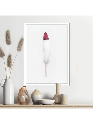 Pembe Detaylı Beyaz Kuş Tüyü 1 Çerçeve ve Poster - H1067