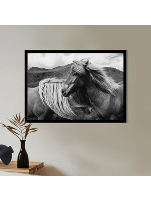 Atlar 5 Çerçeve ve Poster - H1075