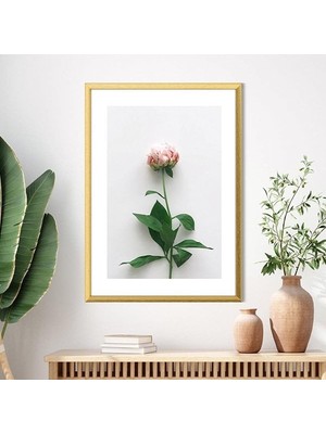 Pembe Gül 2 Çerçeve ve Poster - B1110