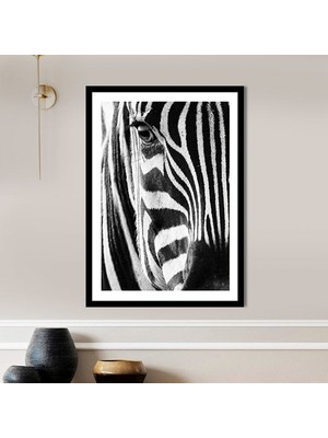 Zebra 7 Çerçeve ve Poster - H1053
