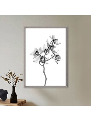 Gölgeli Bitki 2 Çerçeve ve Poster - B1101