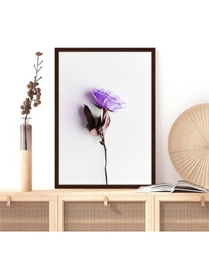 Mor Gül 1 Çerçeve ve Poster - B1142