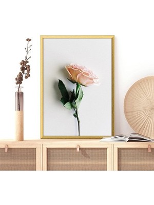 Pembe Gül 8 Çerçeve ve Poster - B1171