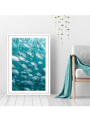 Balıklar 1 Çerçeve ve Poster - DO1038