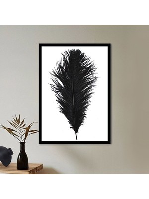 Siyah Kuş Tüyü 4 Çerçeve ve Poster - H1076