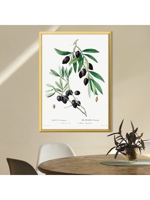 Zeytin Dalı 2 Çerçeve ve Poster - MT1075