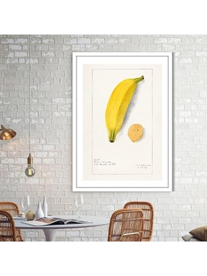 Muz 2 Çerçeve ve Poster - MT1082