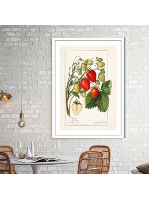 Çilek 1 Çerçeve ve Poster - MT1050