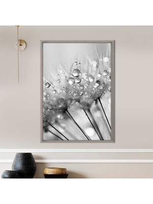 Yağmur Damlalı Karahindiba 2 Çerçeve ve Poster - SB1066