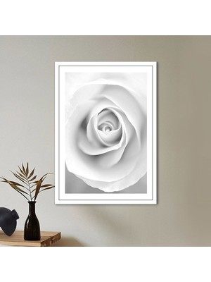 Tek Gül 3 Çerçeve ve Poster - SB1057