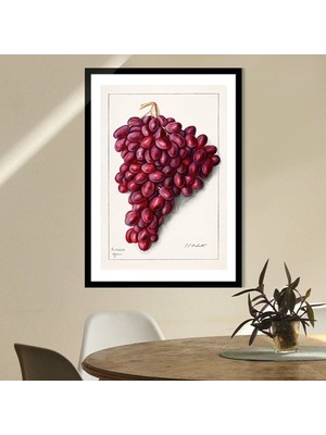 Kırmızı Üzümler 1 Çerçeve ve Poster - MT1064