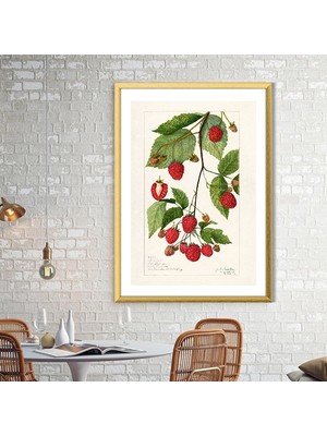 Ahududu 1 Çerçeve ve Poster - MT1049