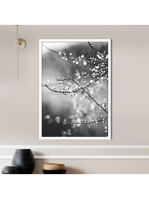 Ağaç Dalı 2 Çerçeve ve Poster - SB1077