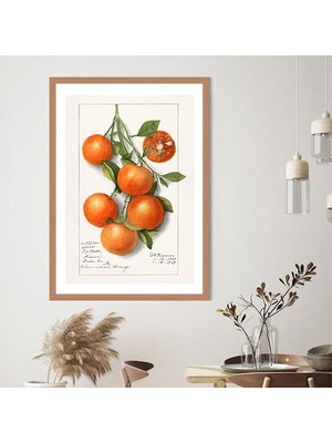 Mandalina 3 Çerçeve ve Poster - MT1102