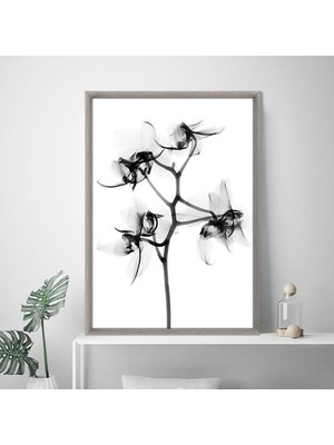 Gölgeli Çiçek 1 Çerçeve ve Poster - SB1079