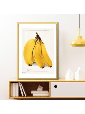 Muz 1 Çerçeve ve Poster - MT1081