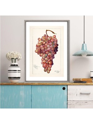 Kırmızı Üzümler 2 Çerçeve ve Poster - MT1065