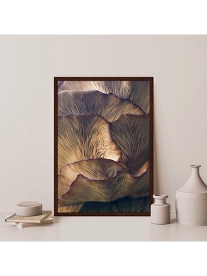 Mantar Dokusu 2 Çerçeve ve Poster - DO1050