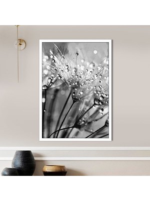 Yağmur Damlalı Karahindiba 3 Çerçeve ve Poster - SB1067