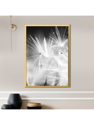 Yağmur Damlalı Karahindiba 1 Çerçeve ve Poster - SB1064