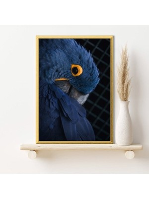 Lacivert Kuş 1 Çerçeve ve Poster - H1025