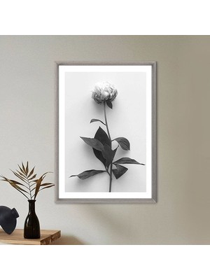 Tek Gül 1 Çerçeve ve Poster - SB1055