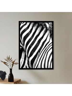 Zebra Dokusu 3 Çerçeve ve Poster - H1049