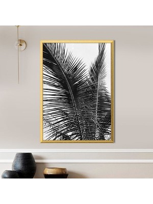 Palmiye Dalları 5 Çerçeve ve Poster - SB1084