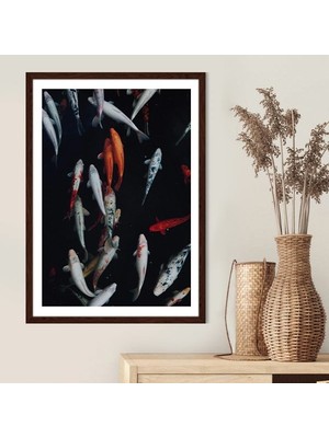Turuncu & Beyaz Balıklar 1 Çerçeve ve Poster - H1019