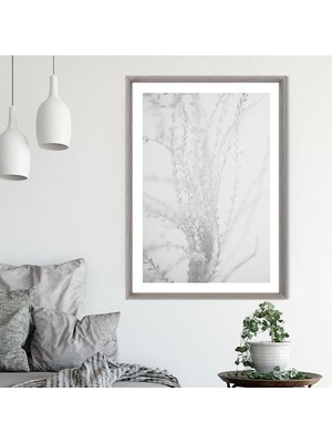 Pampas 1 Çerçeve ve Poster - SB1080