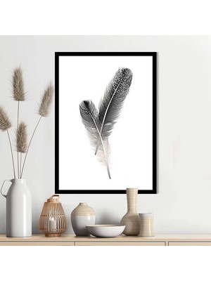 Siyah Kuş Tüyü 1 Çerçeve ve Poster - IL1126