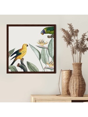 Papağanlar ve Bitkiler 2 Çerçeve ve Poster -  IL1138