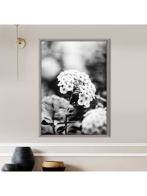 Çiçekler 1 Çerçeve ve Poster - SB1081